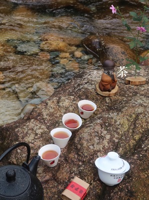 武夷老手艺岩茶坊 匠心传承，茶韵留香